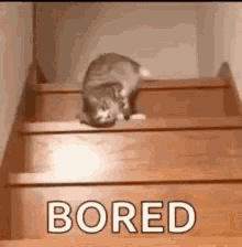 GIF uploaded by Alexandria
