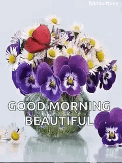 Good Morning Beautiful Flowers