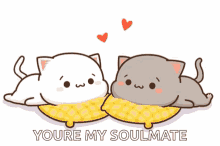 GIF uploaded by M