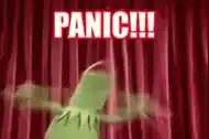 Panic Kermit Meme