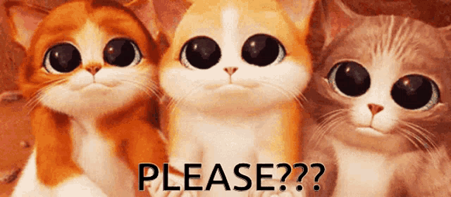 Please Cats