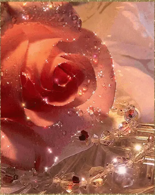 Sparkling Pink Rose with Crystals