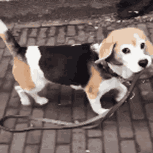 GIF uploaded by Pranshu