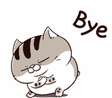 GIF uploaded by Phoebe