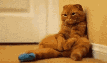 GIF uploaded by WILL