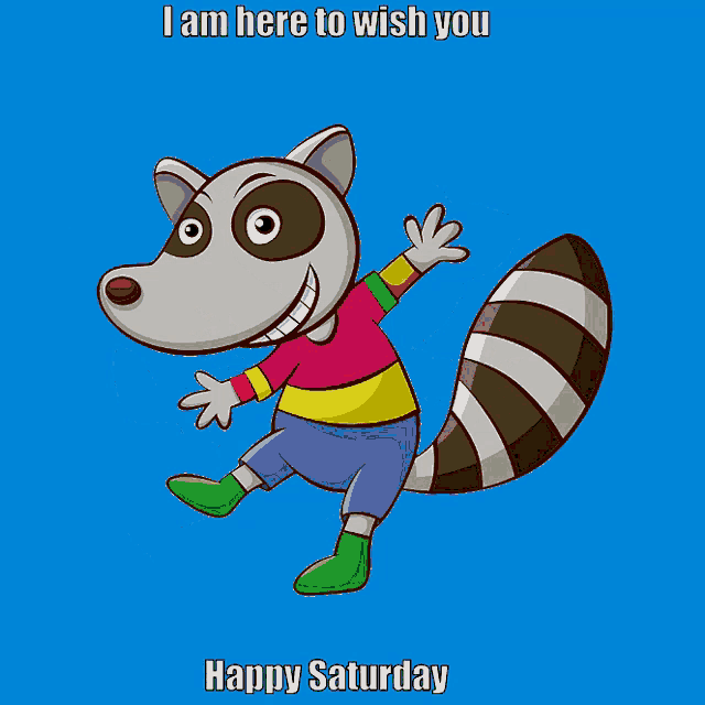 Cartoon Raccoon Wishes Happy Saturday