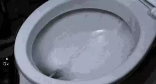 Wasting Money Down the Toilet