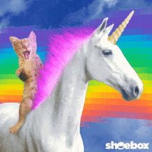 GIF uploaded by Sydneyandaustin