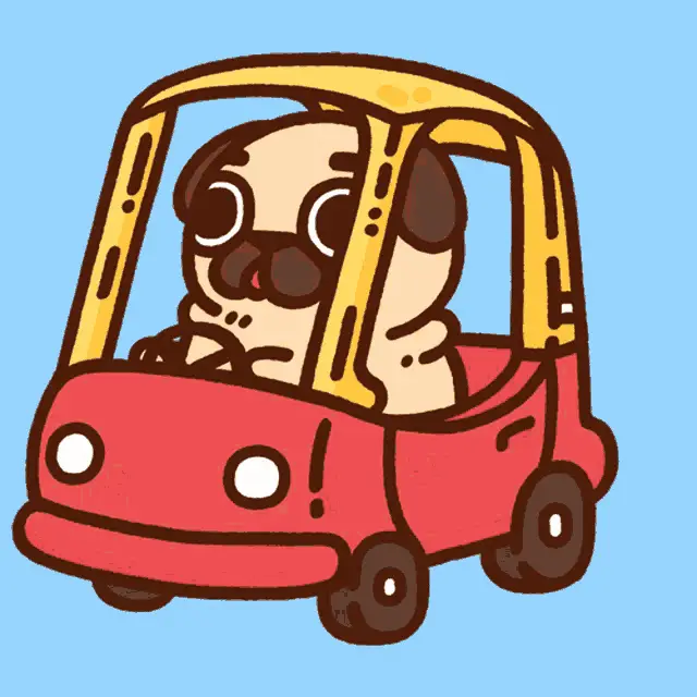 Puglie the Pug Driving a Car