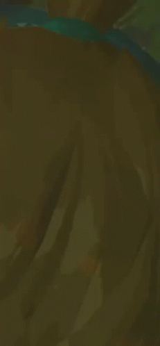 Zelda Breath of the Wild: Link Is Dying