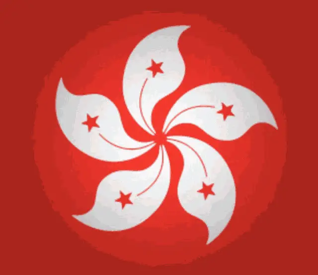 Spinning Hong Kong Bauhinia Flag