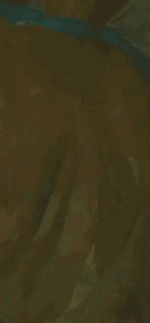 Zelda Breath of the Wild: Link Is Dying