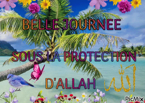 Belle Journée Sous la Protection d'Allah