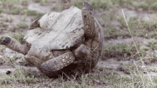 GIF uploaded by A≠IČKA