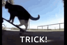 GIF uploaded by Julianes