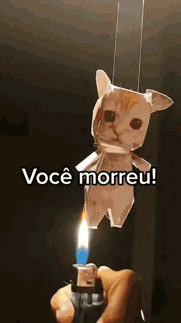 Elgato Morreu