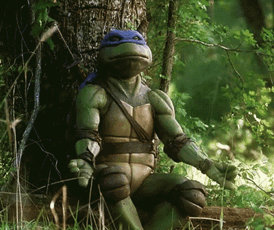 Leonardo Meditates Peacefully in Forest