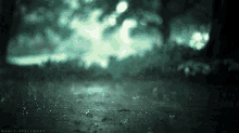 GIF жүктеген Bharath