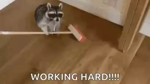 Funny Raccoon Working Hard Sweeping