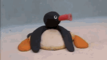 GIF