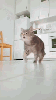 GIF