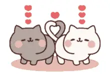 Cute Cats Form a Heart with Their Tails