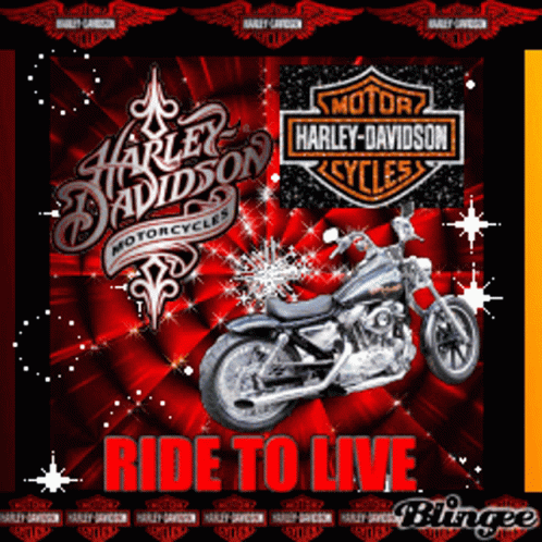 Harley Davidson Motorcycles: Live to Ride