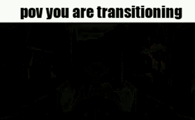 POV: You Are Transitioning (Game Scene)