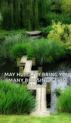 Zen Humility: Sunday Blessings