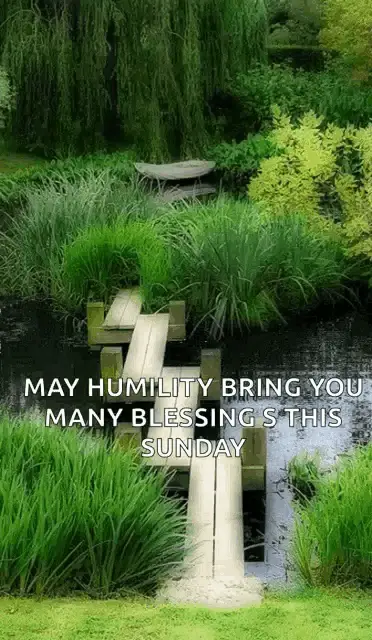 Zen Humility: Sunday Blessings