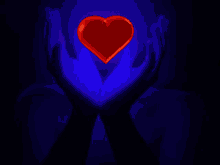 Hands Holding Heart