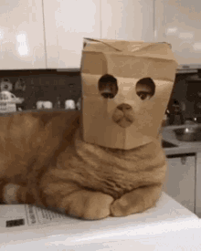 GIF