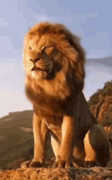 GIF uploaded by Jeremy