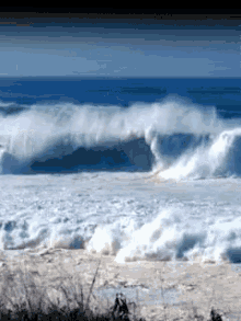 GIF uploaded by George