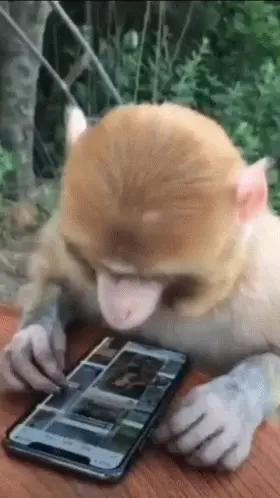 Scrolling Monkey