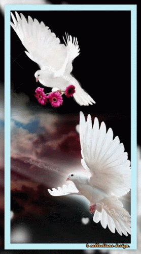Holy Ghost: White Doves with Flowers