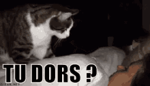 GIF