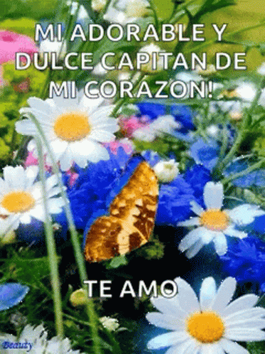 Mi Adorable y Dulce Capitán de Mi Corazón