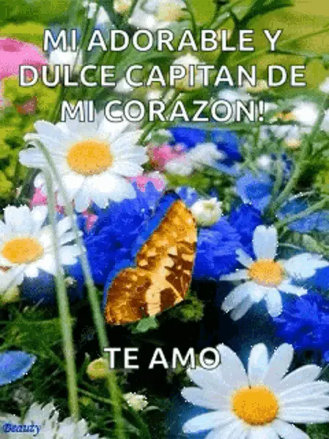 Mi Adorable y Dulce Capitán de Mi Corazón