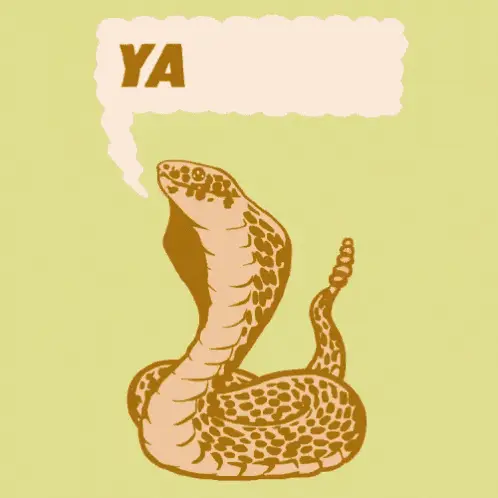 Cobra Says YASSS!