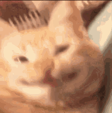 Zi上传的GIF
