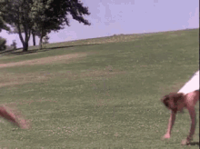 Gökyüzü tarafından yüklenen GIF