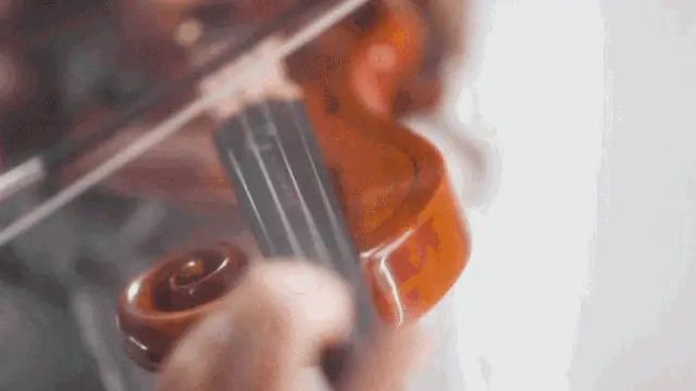 Taylor Davis Playing Violin