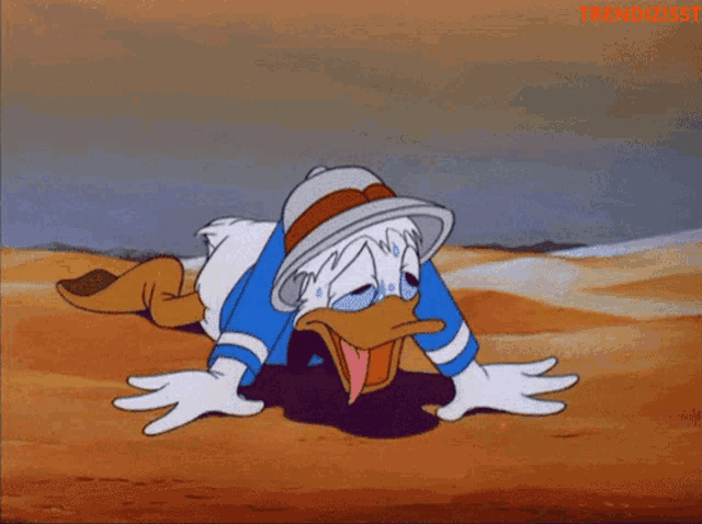 Donald Duck: Humid Hot As Hell