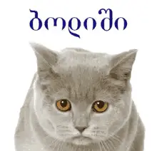 ბოდიში მაპატიე