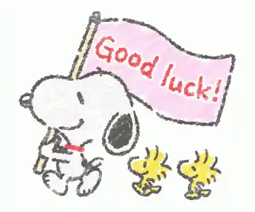 Snoopy & Woodstock: Good Luck Peanuts