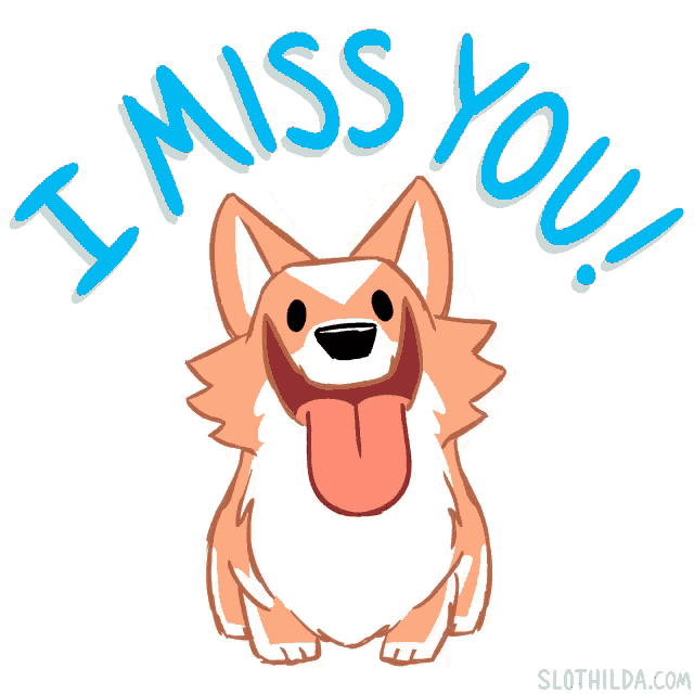Slothilda Corgi: I Miss You!