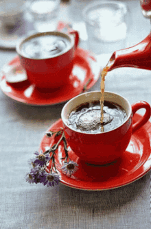 GIF uploaded by Funnygirl