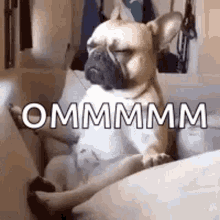 GIF uploaded by JD