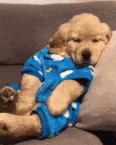 GIF nahrál Naughty